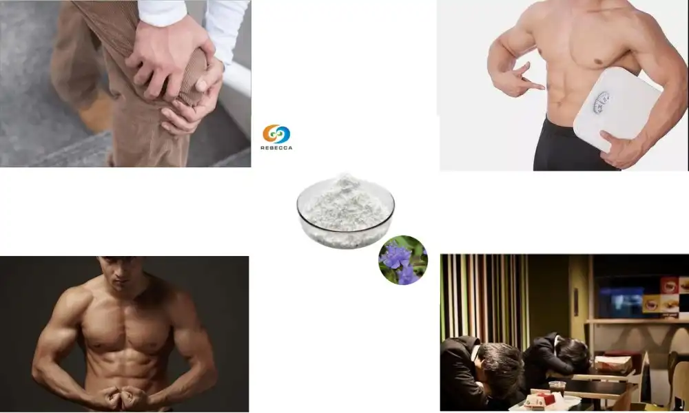 Is ecdysterone a steroid?